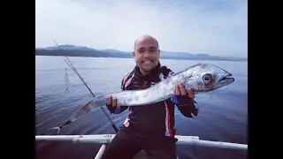 Silver Scabbards (Diwit) 5 Landed | Sunday Jigging | Fishing in the Philippines