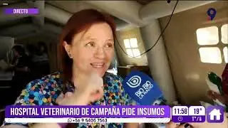 Instalan hospital de campa&ntilde;a para mascotas afectadas por incendios en Penco