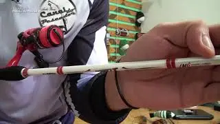 ✔ PlusFish custo x benef&iacute;cio. Melhor op&ccedil;&atilde;o no mercado!