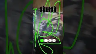 fifiti