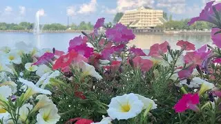 Купила себе  DHEA (ДГЭА). Посылка с AliExpress . В Выборге по делам.