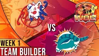New York Mankeys WBE Pokemon Team Builder For Miami Donphans! w/ ShadyPenguinn