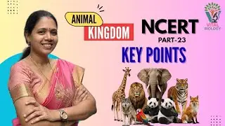 ANIMAL KINGDOM:[ P-23] KEYPOINTS-NCERT| Class 11 Biology | NEET Preparation