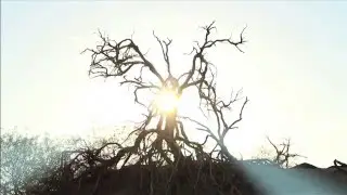 nature's metaphor