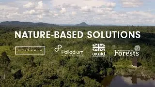 SYSTEMIQ: Nature-Based Solutions (Indonesia)