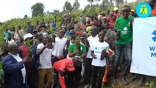 Ishirahamwe ECODEV rifadikanije n'abenegihugu ba zone Benga bateye ibiti vy'akawa 5000