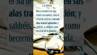 Gracias por tu fidelidad Se&ntilde;or 🙏 #Cristoteama #Diosesfiel #EspirituSanto