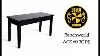 ACE ACE 60 3C PE by Benchworld - Fixed Height Piano Bench with Storage in Polished Ebony