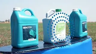 Ma&iuml;s : application foliaire par drone de Seactiv&reg; & Ecovigor AA&reg; | Timac AGRO MAROC