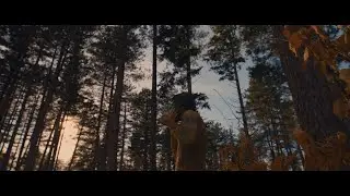 Piqued Jacks - Particles [Official Video]