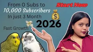 2026 Me Budgies Channel Kaise Grow Kare | My Real YouTube Journey (No Fake Tips)