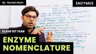 Enzymes Nomenclature l Biology 1st year in Urdu/Hindi l Chapter 2 l Grade/Class 11