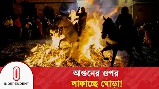 আগুনের ওপর লাফানো ঘোড়া, শতাব্দী পুরনো শুদ্ধিকরণ উৎসব | Horse Festival in Spain | Independent TV