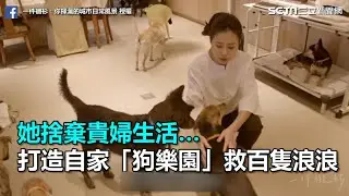 她捨棄貴婦生活…　打造自家「狗樂園」救百隻浪浪｜三立新聞網SETN.com