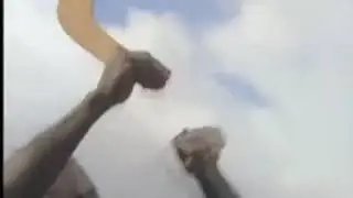 aborigine hunt huge bats with boomerang