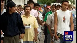 Treasury Report: 87% of LEGAL immigrants obtained their employment through identity theft