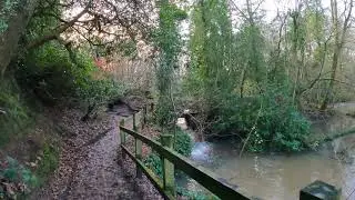 Lymm Dam - Winter Walk - Around the Dam