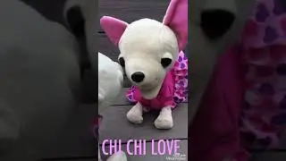 CHI CHI LOVE SHOW STAR DELUXE