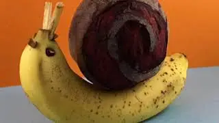 V2V Podcast Episode #20  - Snails, Bananas and Caves with Tracy Dick