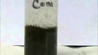 ORE concentrate H2O2 test.wmv