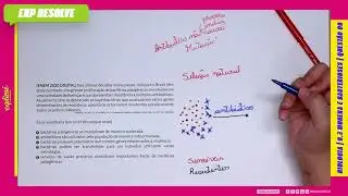 NAS ÚLTIMAS DÉCADAS VÁRIOS PAÍSES, INCLUSIVE O BRASIL, TÊM TESTEMUNHADO (...) | MONERA E BACTERIOSES