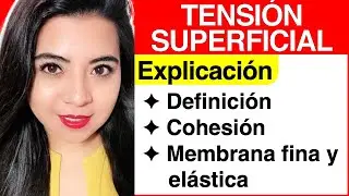 TENSIÓN SUPERFICIAL (Explicación COMPLETA)