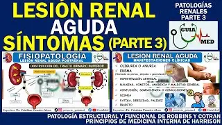 INSUFICIENCIA RENAL AGUDA SÍNTOMAS | GuiaMed