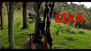 Three Sika Swamp Monsters Take It Through The Pump House