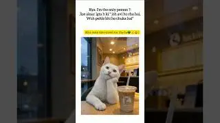 timetravel👽#trending #funny #viral #shortvideo #shorts #new #cat #cute #cooking #travel #music #song