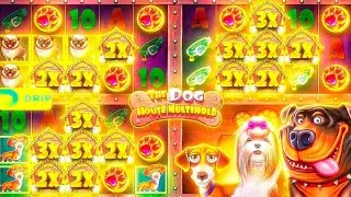 СЛОВИЛ Х280 ПО 1.200 В ДОГ ХАУС МУЛЬТИХОЛД??? | ALL-IN DOG HOUSE MULTIHOLD