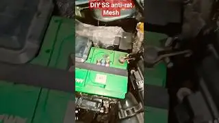 DIY Car Rat Mesh - 3 months later #carcare #cars #rodentcontrol