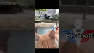 The landing was NOT smooth #memes #shorts