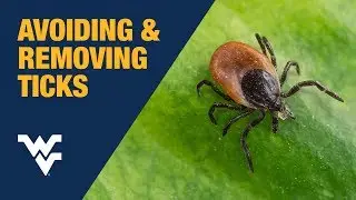Tick Prevention with WVU Extension Specialist Daniel Frank