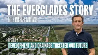 The Everglades Story: Development and Drainage Threaten Our Future