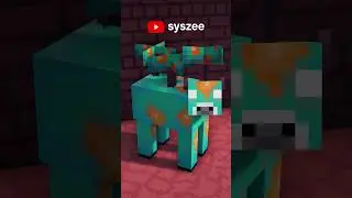 The Forgotten Nether Update Feature...
