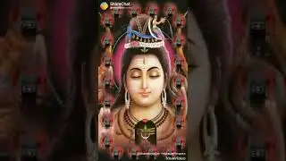 Rebal arts