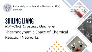 Shiling Liang - Thermodynamic Space of Chemical Reaction Networks