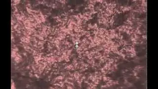 Random Midpoint Displacement Fractal Planet
