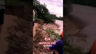 Rupnagar Satluj River | Chamkaur Sahib | Morinda | Ropar head | Ropar dam | ropar flood open #shorts
