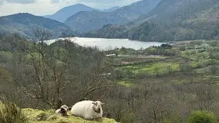 Nant Peris, Snowdonia National Park