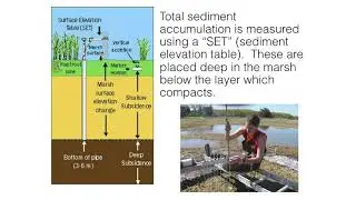 Anne Giblin: Long Term Ecological Research Sites