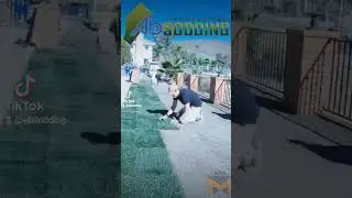 Absodding Local Landscaping Company Calgary