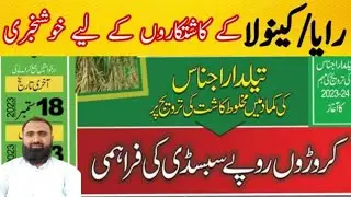 How to get Subsidy of Rs.200000 on Canola Cultivation in Punjab || Bilal Kanju Official