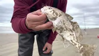 Freeport Texas Surf Fishing (Part 1)