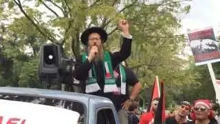 Hundreds march in D.C protesting Israeli offensive in Gaza