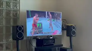 UFC 308 Weekend