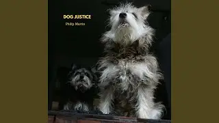 Dog Justice