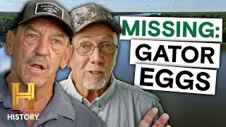 Why Are Alligators Vanishing from the Swamp? | Swamp Mysteries (Season 3) | History