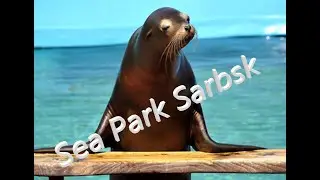 Sea Park Sarbsk