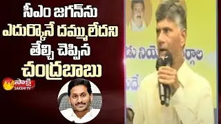 TDP Chief Chandrbabu Sensational Comments About Alliance | CM YS Jagan | Sakshi TV